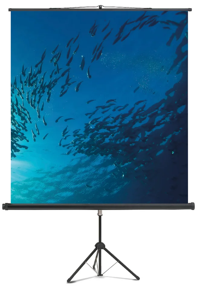 magnetoplan Ecran de projection sur trépied, 1.500 x 1.500mm - OEM 6100112
