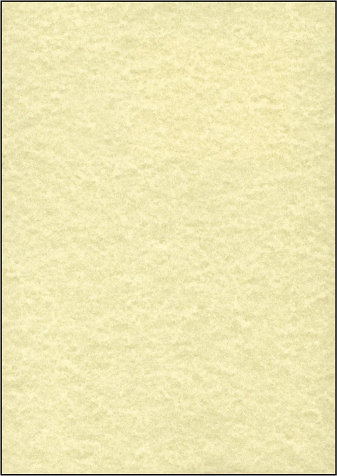 sigel Papier structuré, A4, 90 g/m2, Perga champagne - OEM DP605
