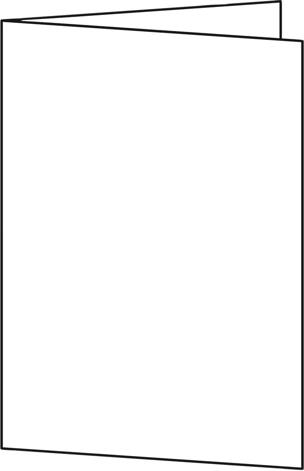 sigel cartes 2 volets pour PC, DL (A4), 185g/m2, extra blanc - OEM DP810