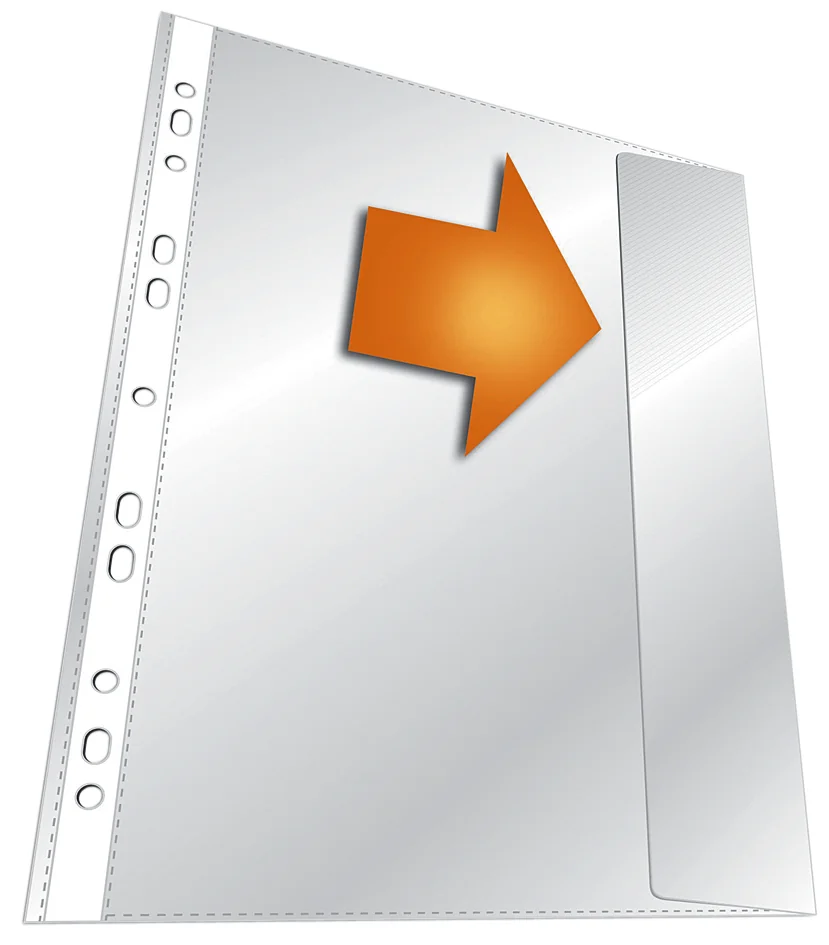 DURABLE Pochette perforée, A4, PP, transparent, 0,135 mm - OEM 2664-19