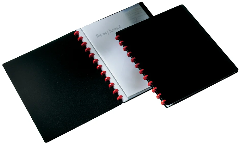 DURABLE Protège-documents DURALOOK Easy, avec 20 pochettes - OEM 2426-01