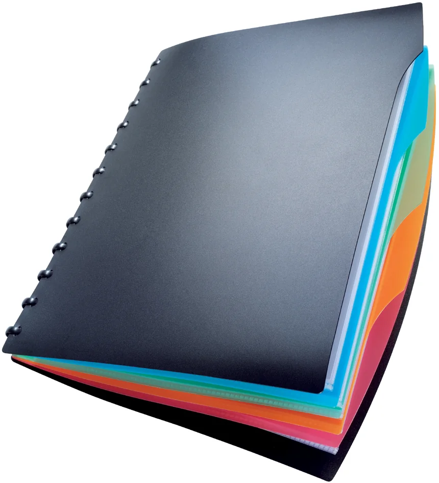 DURABLE Protège-documents DURALOOK STYLE, A4, avec 20 - OEM 2435-01