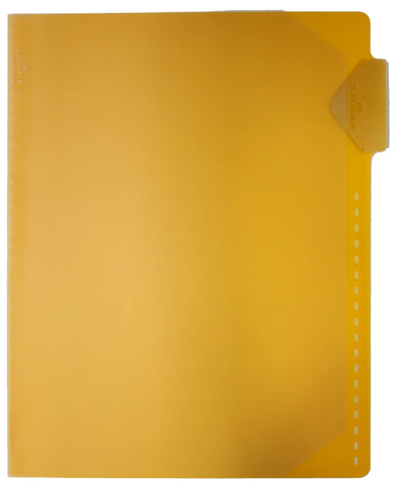 DURABLE Chemise pour fiches bristol, A4, trous de blocage - OEM 3996-04