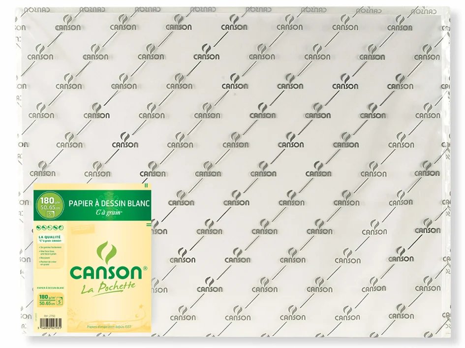 CANSON Papier de dessin 'C' à Grain, 224 g/m2, 500 x 650 mm - lot de 25 - OEM C31002S011