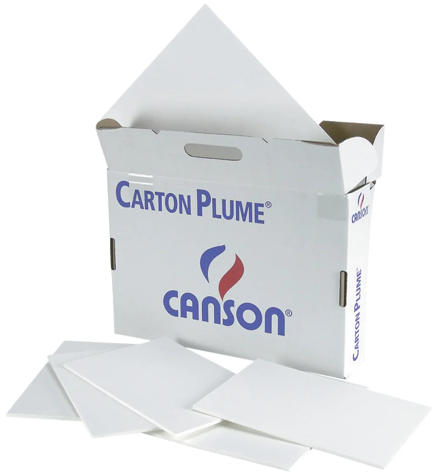 CANSON Carton Plume, 500 x 700 mm, noir - lot de 24 - OEM C400037740