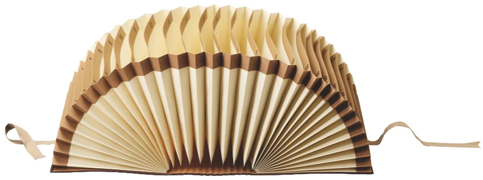 LEITZ trieur éventail, A4, 1-31, 31 compartiments, marron - OEM 5631-00-00