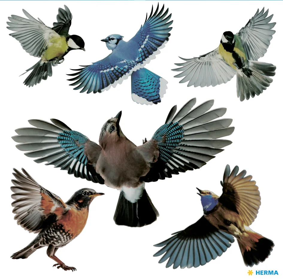 HERMA Oiseaux de vitres, film, résistant aux - OEM 5999
