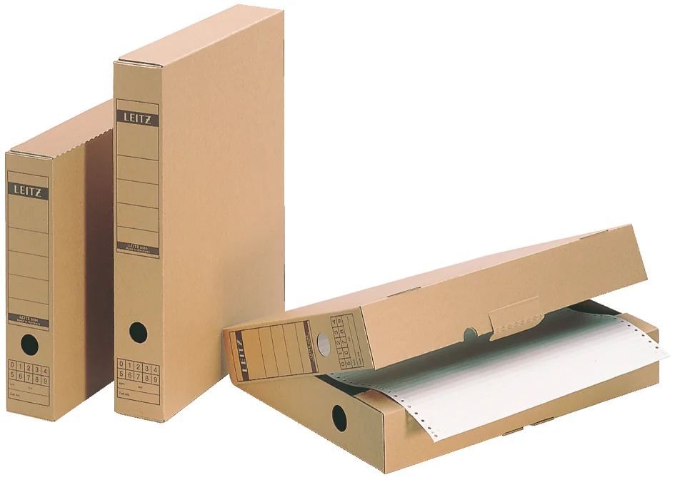 LEITZ boîte à archives avec languette de fermeture - lot de 10 - OEM 6084-00-00