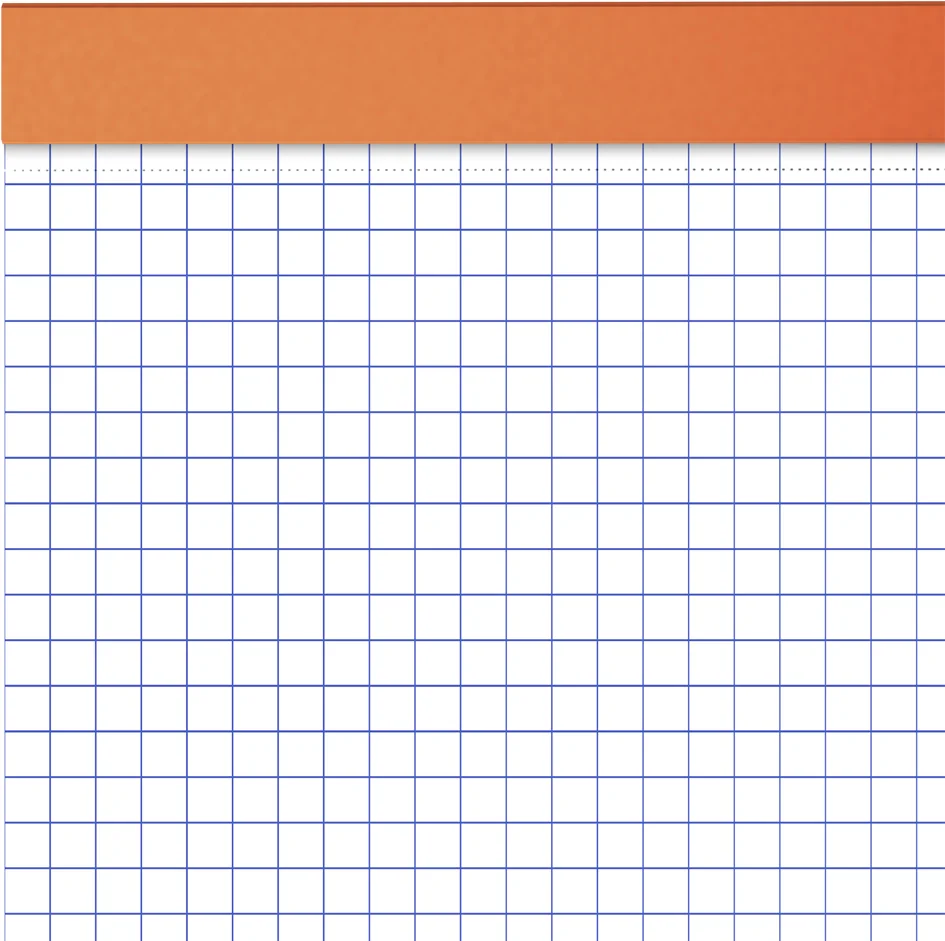 Oxford Bloc-notes, A4, quadrillé, 80 feuilles, gris - OEM 100106302