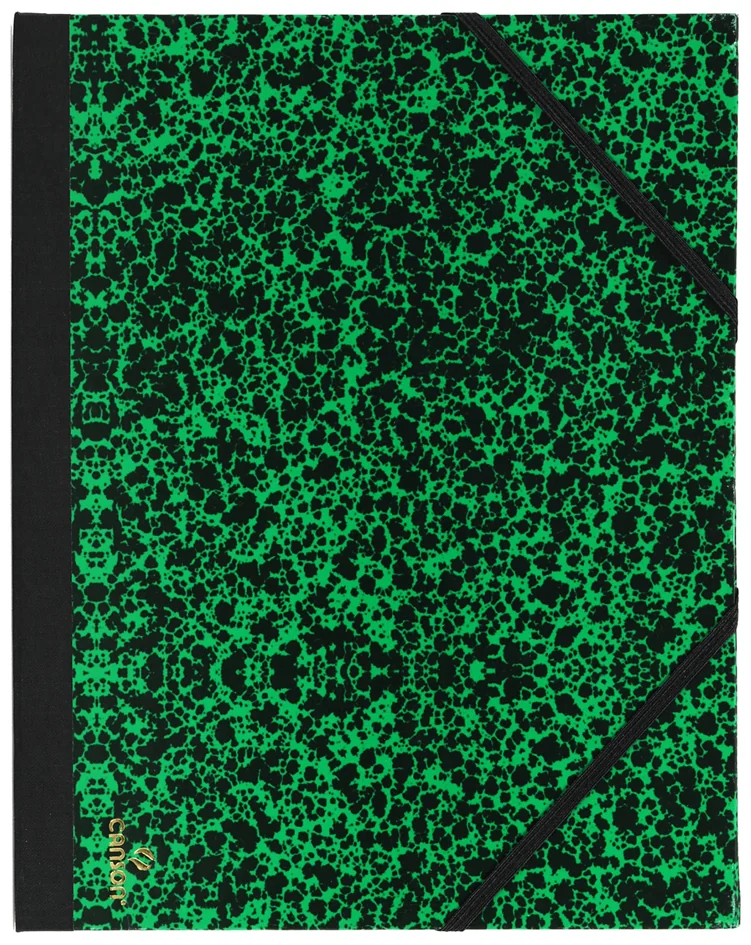 CANSON Carton à dessin STUDIO, 470 x 620 mm, Vert Annonay - OEM C20000311700