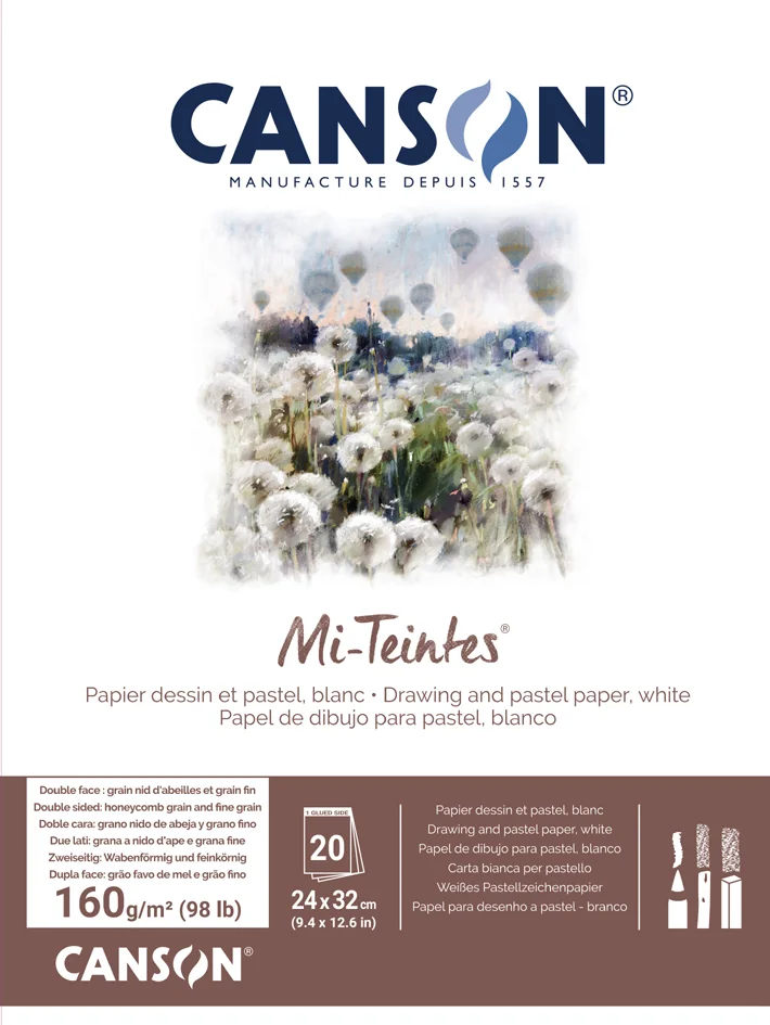 CANSON Papier beaux-arts Mi-Teintes, en album, 240 x 320 mm - OEM C31036P001