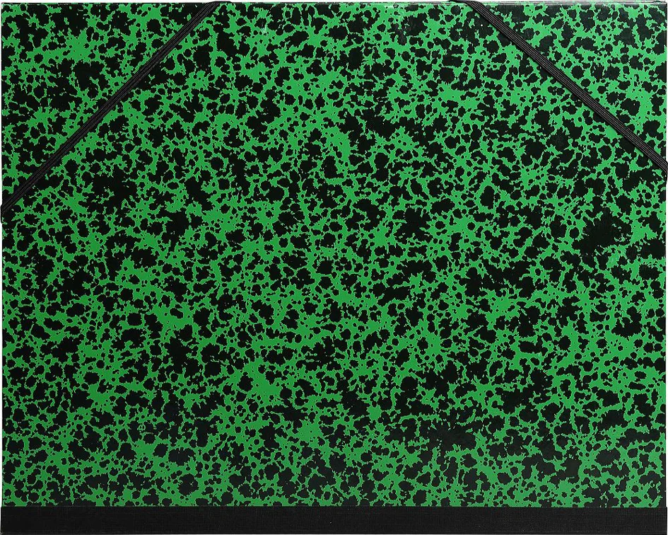 EXACOMPTA Carton à dessin, 320 x 450 mm, carton, vert - OEM 542000E