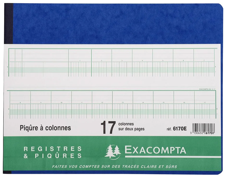 EXACOMPTA Piqûre à colonnes, 13 colonnes, 31 lignes - OEM 6130E