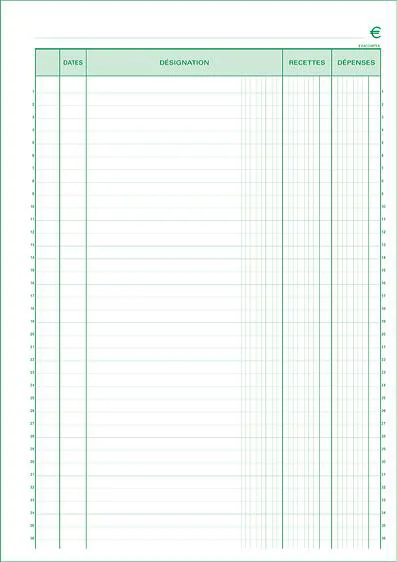 EXACOMPTA Manifold 'Recettes et Dépenses', 297 x 210 mm - OEM 13500E