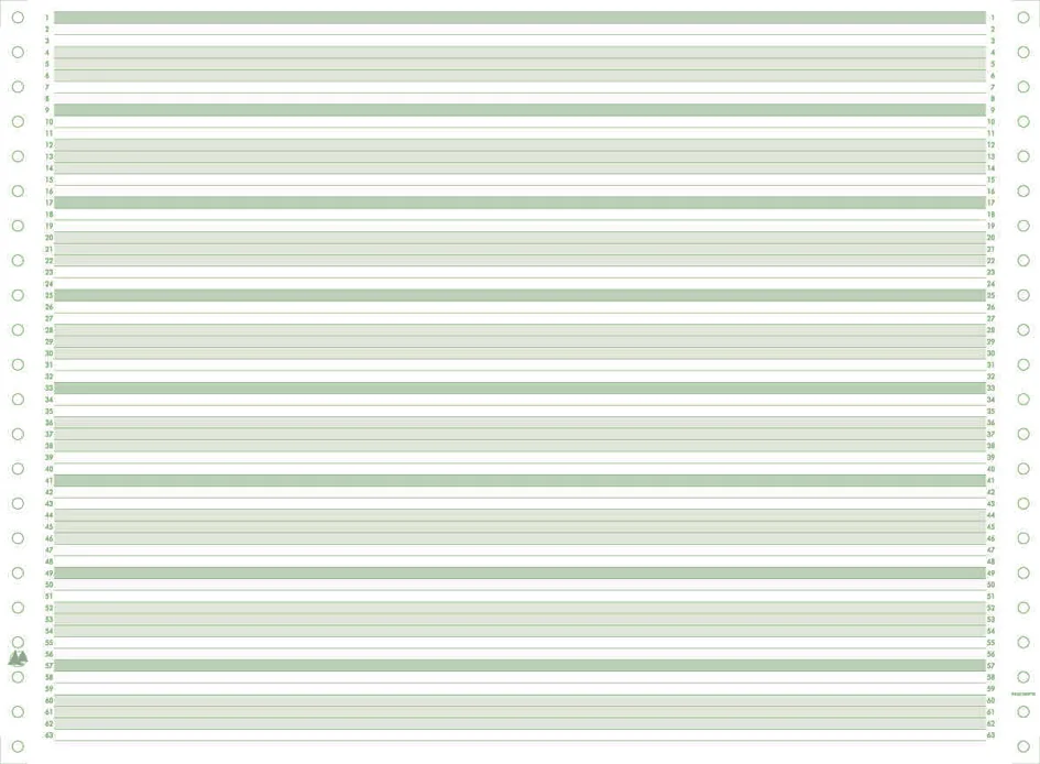 EXACOMPTA Papier listing en continu, 380 mm x 11' (27,94 cm) - OEM 66311E