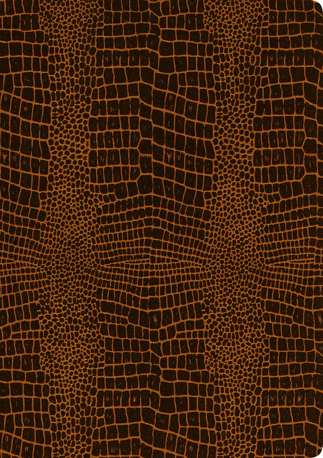 RNK Verlag Chemise à pochet. triangul. 'Grace Coffee' - OEM 46214