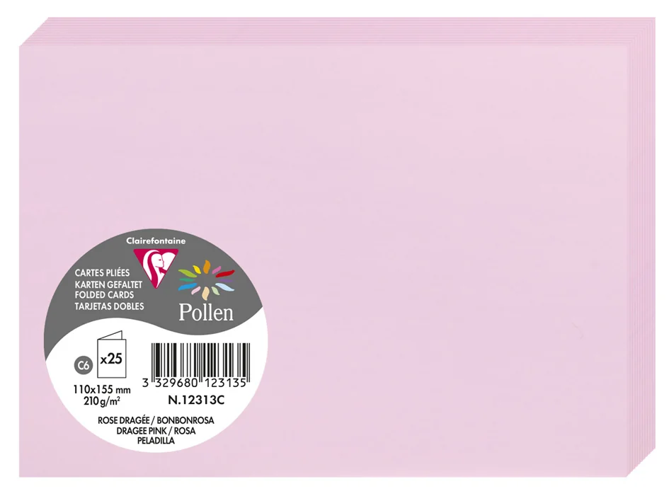 Pollen by Clairefontaine Carte double C6, argent - OEM 12589C
