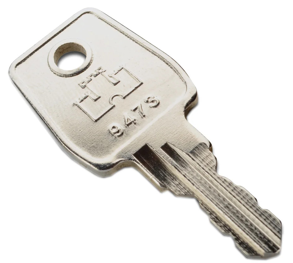 DIGITUS clé Nº 9473 - OEM DN-19 KEY-9473