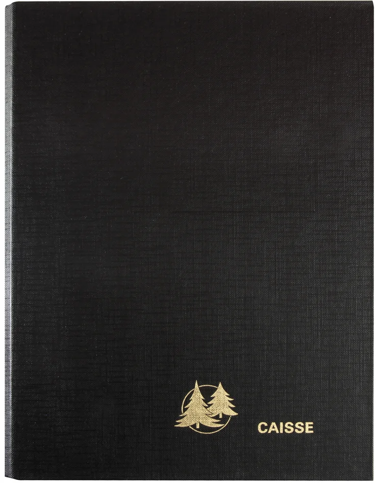 EXACOMPTA Reliure pour agenda perpétuel caisse, 240 x 160 mm - OEM 38970E