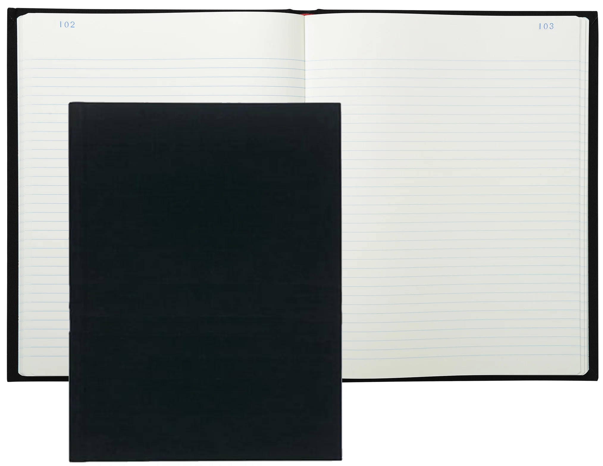 EXACOMPTA Registre Ligné, 320 x 250 mm vertical - OEM 6422E