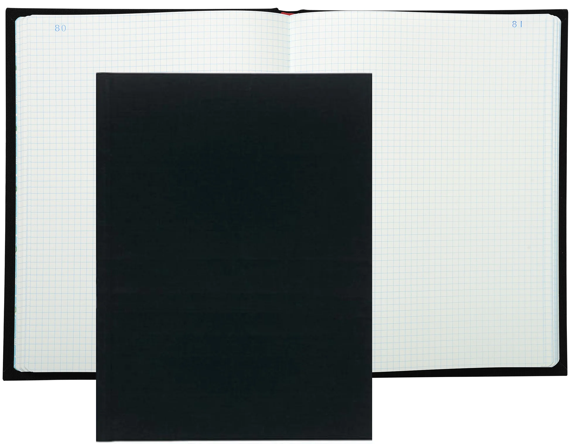 EXACOMPTA Registre Quadrillé 5x5, 360 x 225 mm vertical - OEM 315E
