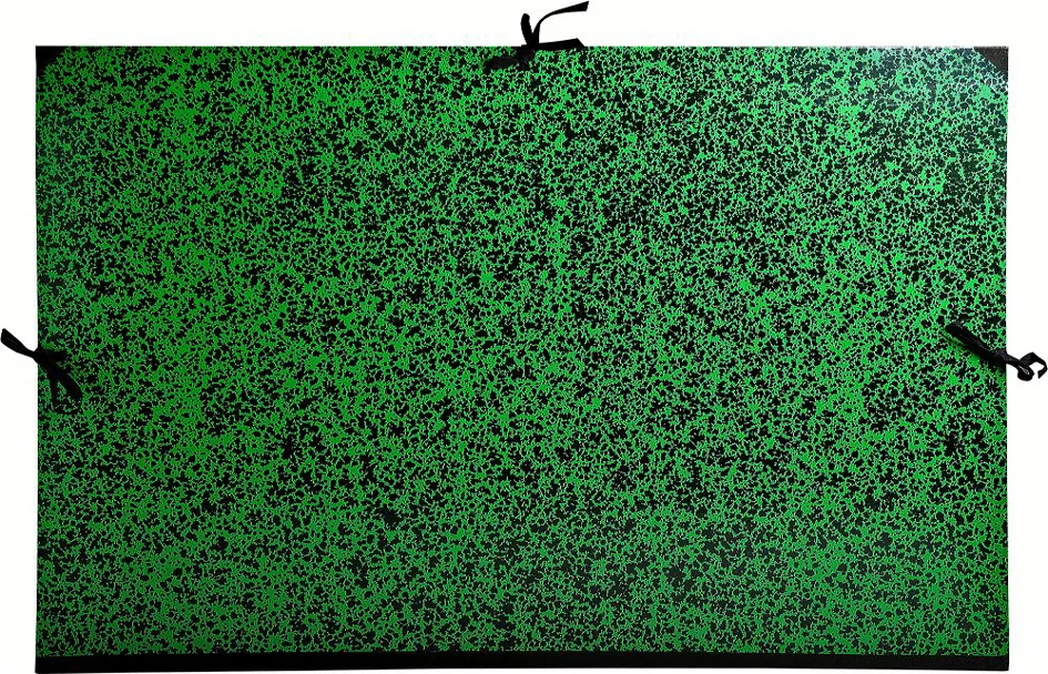 EXACOMPTA Carton à dessin Annonay, 750 x 1.050 mm, vert - OEM 533400E