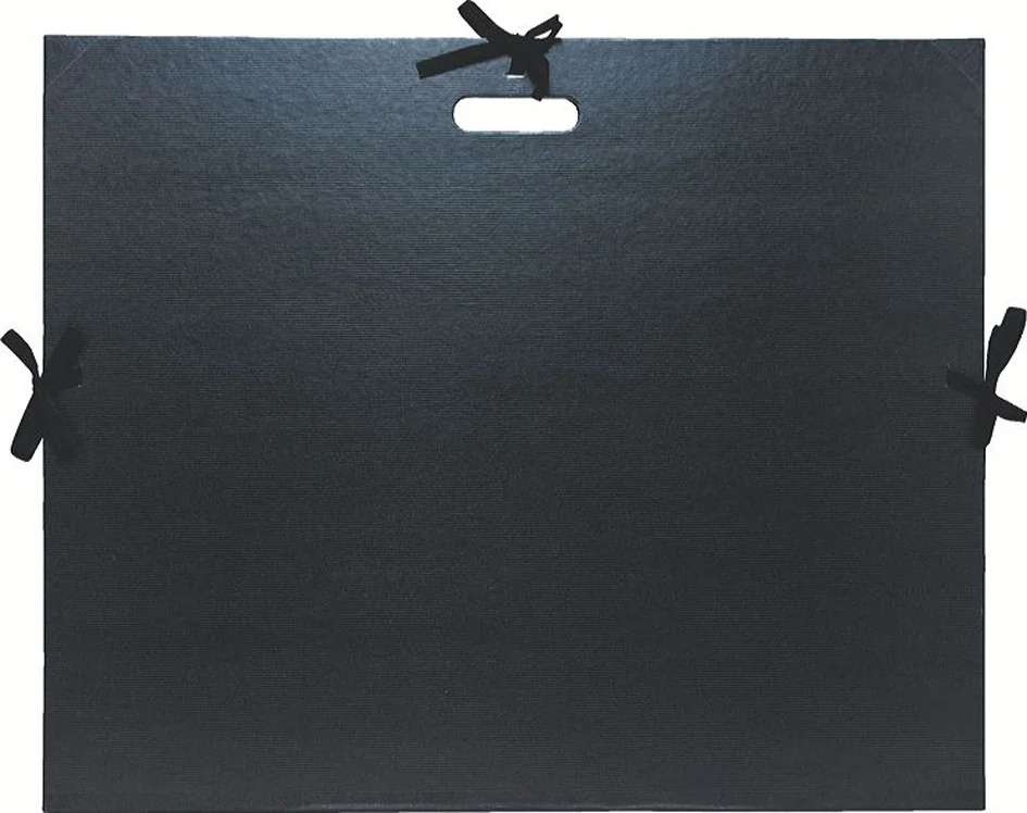 EXACOMPTA Carton à dessin, 590 x 720 mm, carton, noir - OEM 538900E
