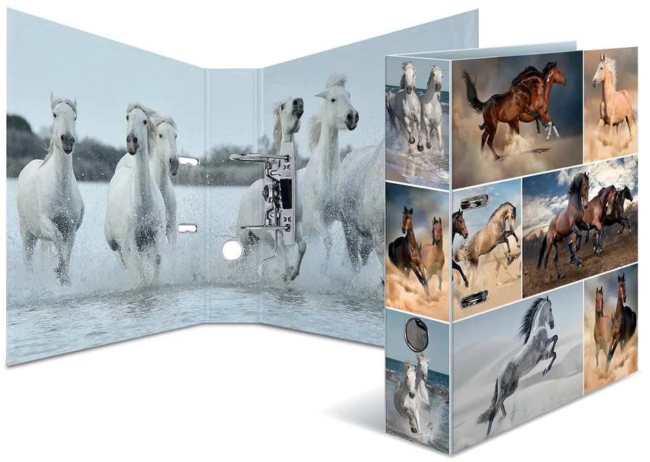 HERMA Classeur à levier à motifs 'Animals', A4, dauphins - OEM 7167