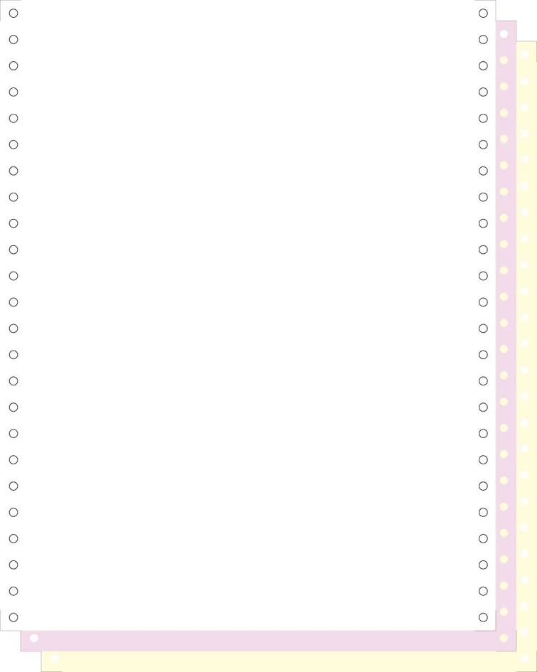 EXACOMPTA Papier listing, 240 mm x 12' (30,48 cm) - OEM 62523E