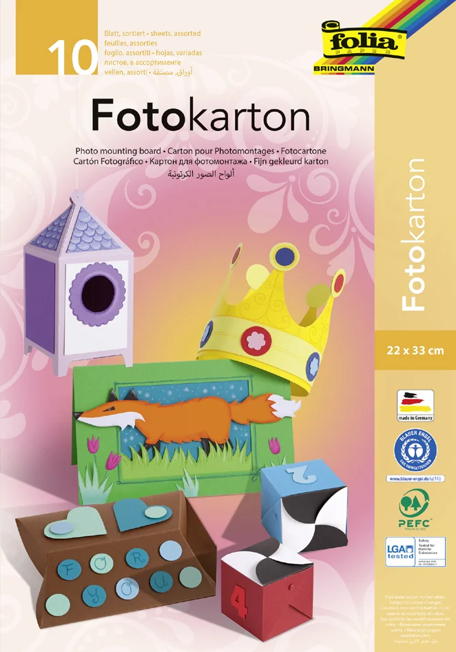 folia Chemise de carton de bricolage, 220 x 320 mm - OEM 660