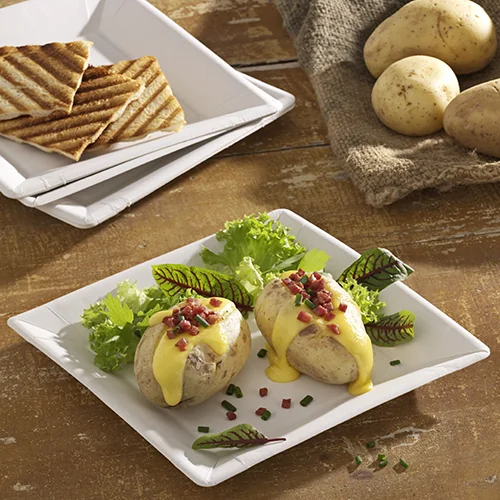 PAPSTAR Assiette en carton 'pure' carré, 225 x 225 x 18 mm - OEM 86615