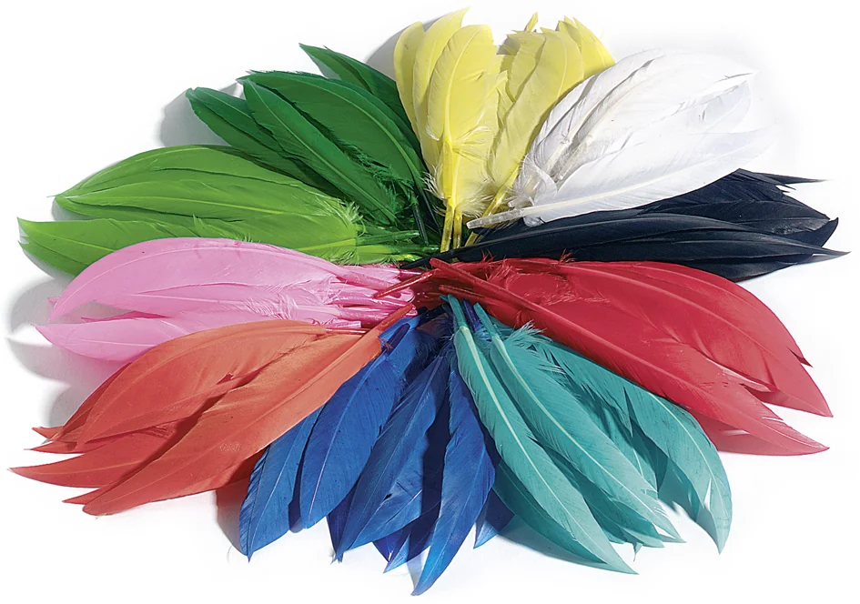 folia Plumes d'indiens, 100 g, assorti - OEM 55109