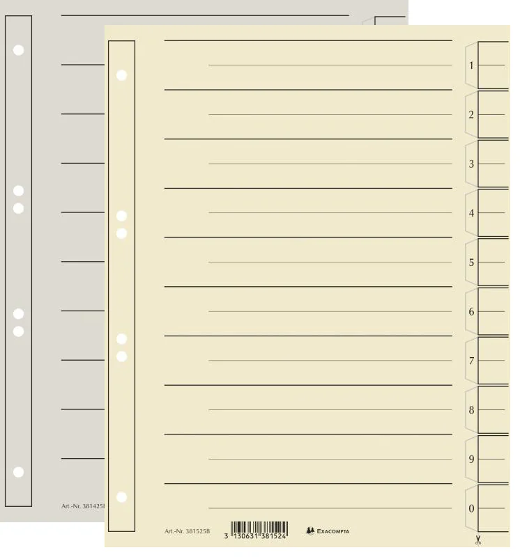 EXACOMPTA Intercalaires, A4 extra large, chamois - OEM 381550B