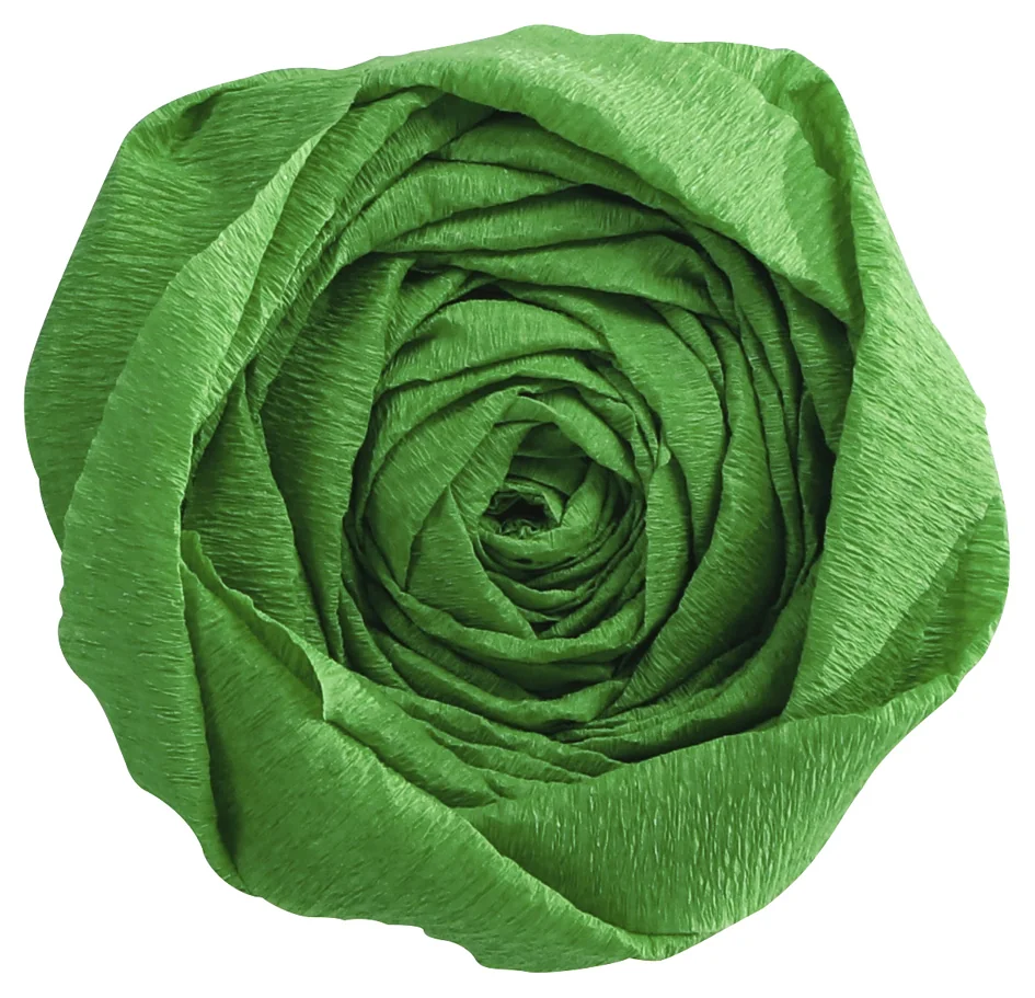 Clairefontaine Papier crépon, vert bouteille - OEM 95174C – Image 13