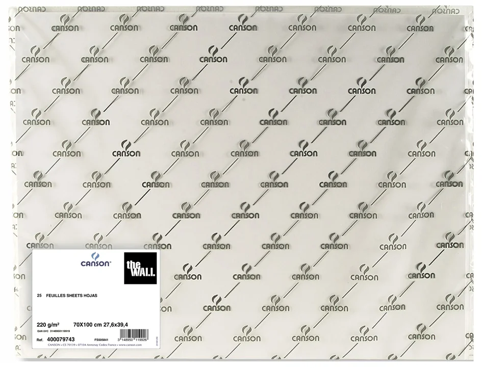 CANSON Papier à dessin 'The WALL', 700 x 1.000 mm, 200 g/m2 - lot de 25 - OEM C400079743