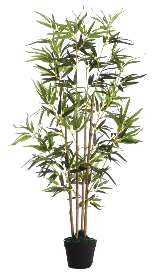 PAPERFLOW Plante artificielle 'Bambou', hauteur : 1.600 mm - OEM PABAM160