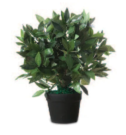 PAPERFLOW Plante artificielle 'Laurier', hauteur : 500 mm - OEM PALAU50