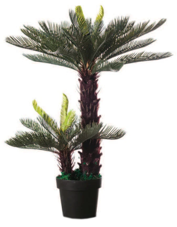 PAPERFLOW Plante artificielle 'Cycas', hauteur : 800 mm - OEM PACYC80