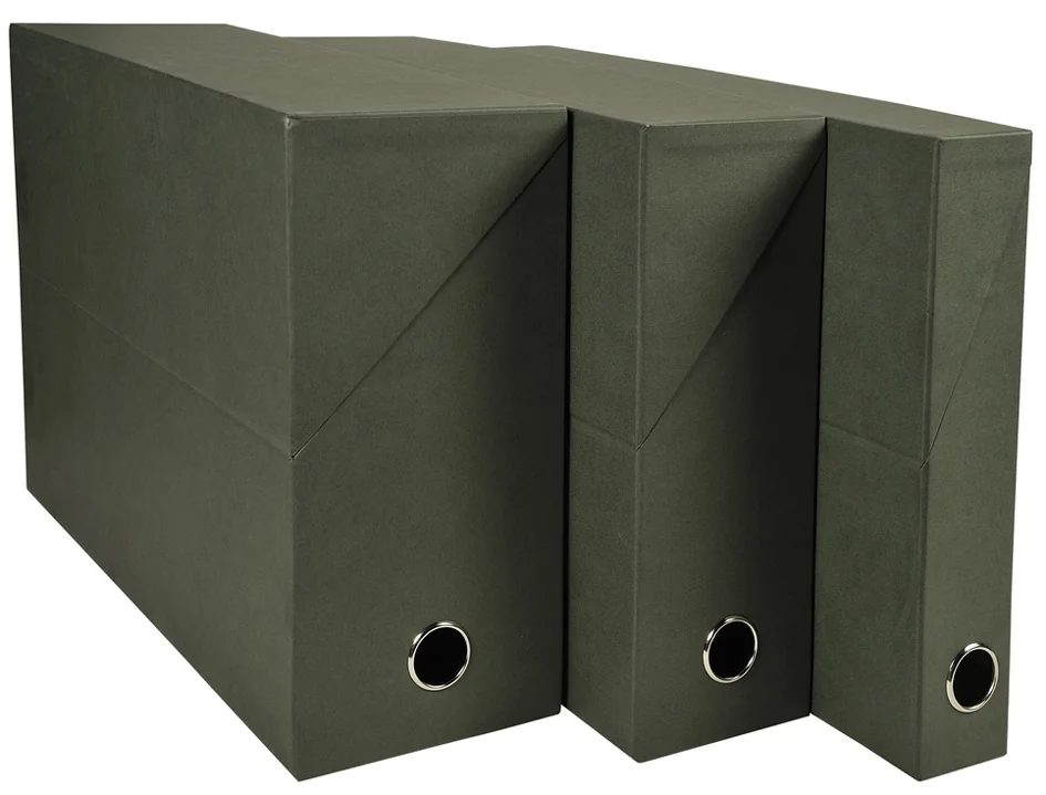 EXACOMPTA Boîte transfert, carton, 120 mm, vert foncé - OEM 83143E
