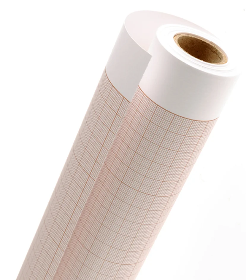 CANSON Papier millimétré en rouleau, 750 mm x 10 m, 90 g/m2 - OEM C200065101