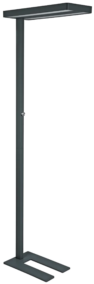 MAUL Lampadaire à LED MAULjaval, dimmable, noir - OEM 8258490