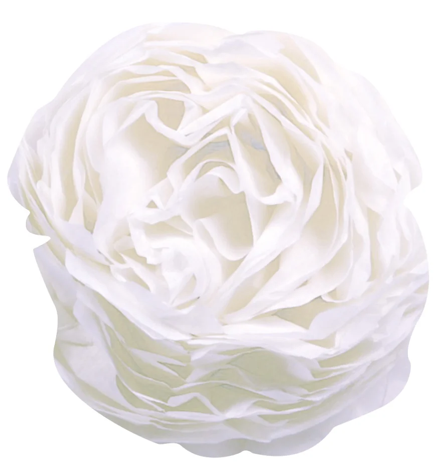 Clairefontaine Papier de soie, (l)500 x (H)750 mm, vert - OEM 95474C