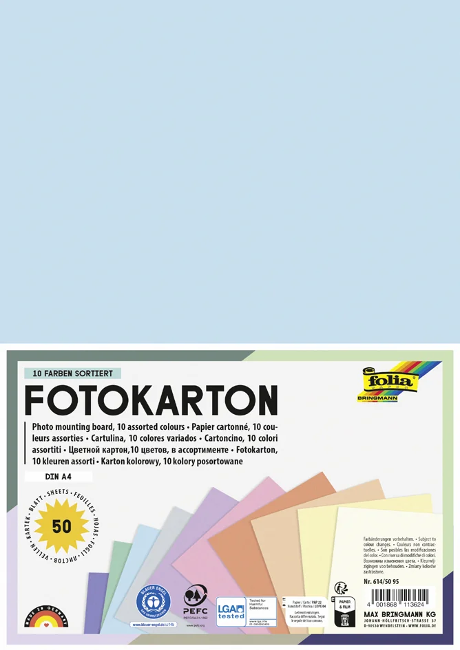 folia Carton de bricolage, A4, 300 g/m2 - OEM 614/50 95