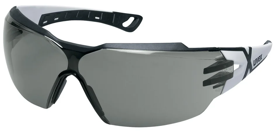 uvex Lunettes de protection pheos cx2, verres: gris - OEM 9198237