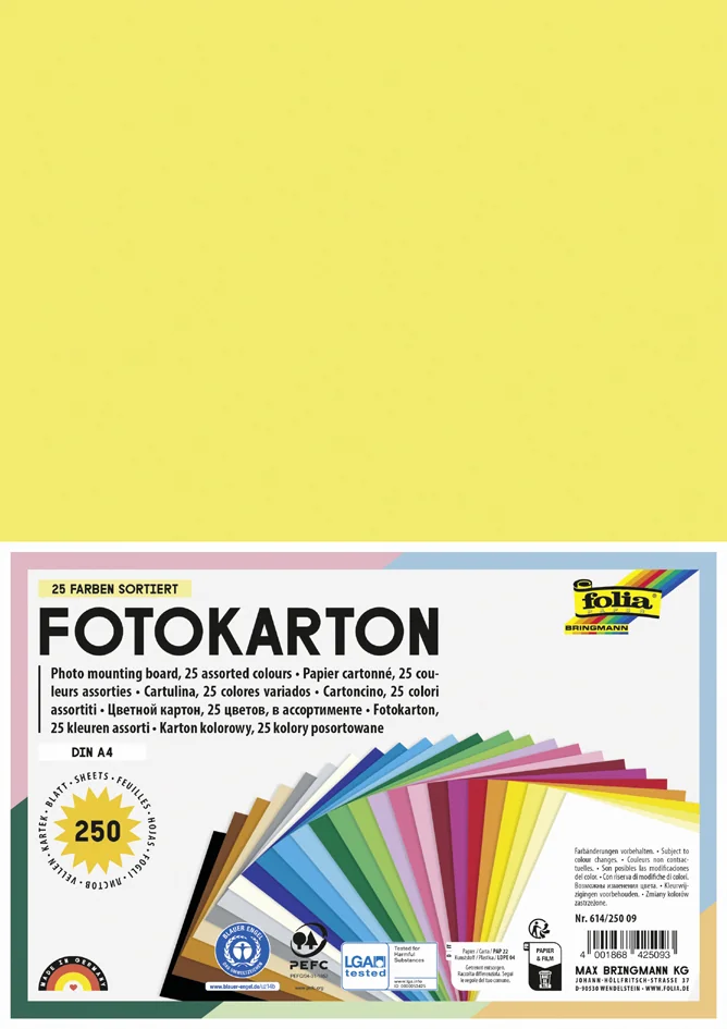folia Carton de bricolage, A4, 300 g/m2, assorti - OEM 614/250 09