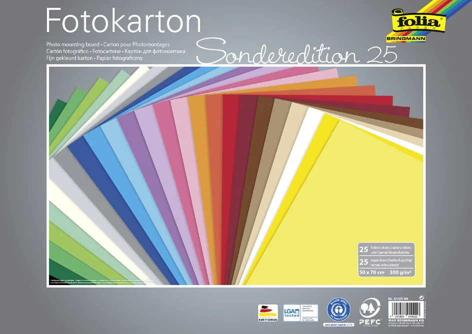 folia Carton de bricolage, (L)500 x (H)700 mm, 300 g/m2 - OEM 61/25 99