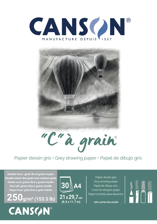 CANSON Bloc papier dessin 'C' à grain Couleur, gris chiné - OEM C400110398