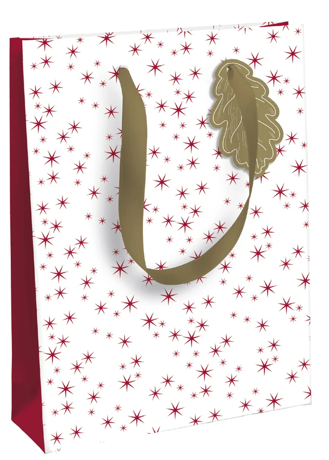 Clairefontaine Sac cadeau de Noël 'Pomme d'amour', large - OEM X-29508-2C