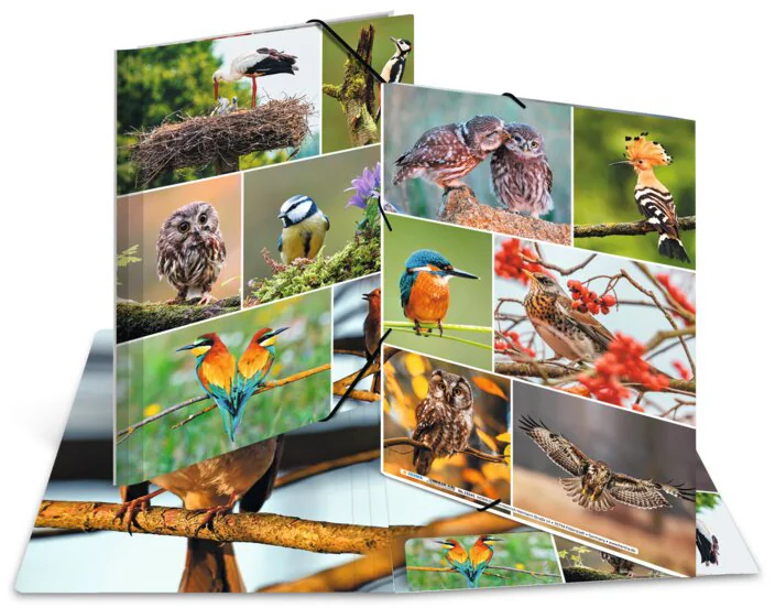 HERMA Chemise à élastiques 'Chevaux dans le pré', carton, A4 - OEM 19342 – Image 5
