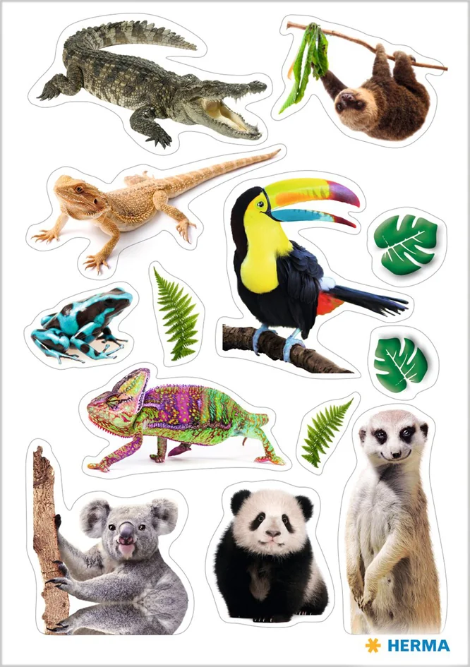 HERMA Sticker MAGIC Suricates, papier - OEM 15785